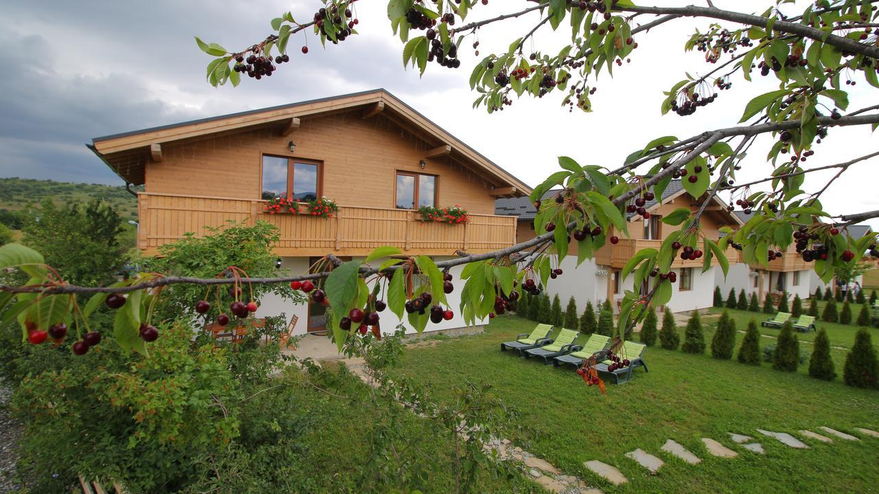 Green Resort Bran Bran  Exterior photo